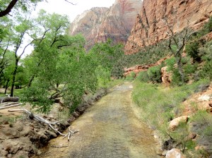 Emerald pools trail