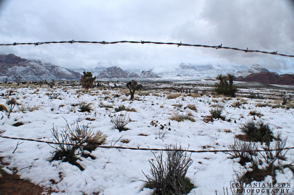 Red Rock Snow Day&nbsp;2015
