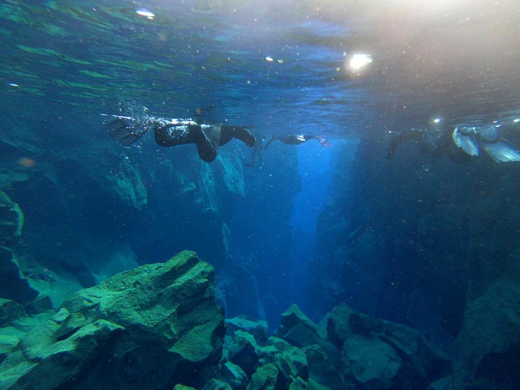 Letters from the Arctic pt.4